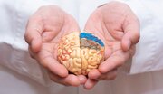 آیا مغز شما به توجه نیاز دارد؟