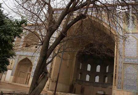 ملاصدرا،منتشر