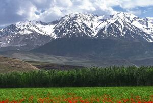 تصویری از طبیعت بهاری منطقه اشترانکوه