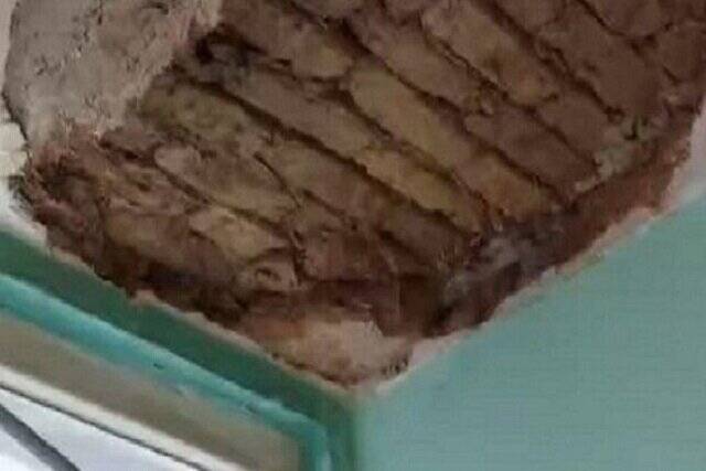 توضیح دانشگاه تهران در خصوص ریزش سقف یکی از خوابگاهها