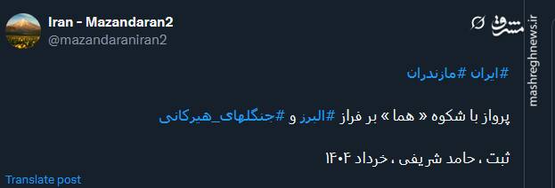 تصویری از پرواز با شکوه هما بر فراز جنگلهای هیرکانی