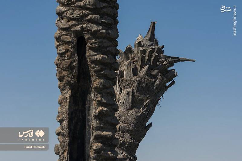 عکس/ گلولههایی که هنوز جایشان روی دیوارهاست