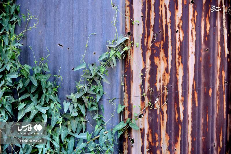 عکس/ گلولههایی که هنوز جایشان روی دیوارهاست