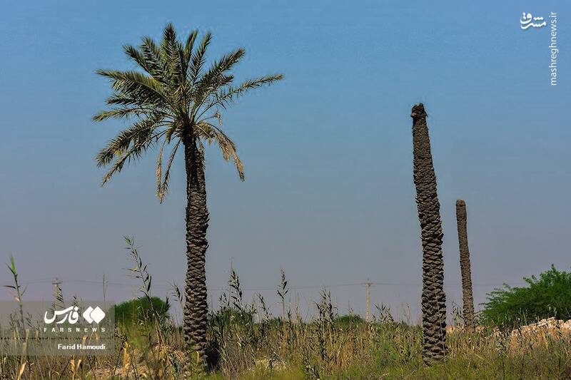 عکس/ گلولههایی که هنوز جایشان روی دیوارهاست