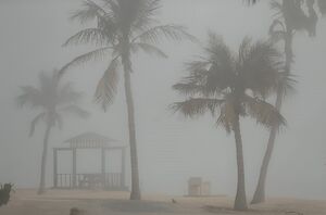 فیلم/ کیش غرق در مه شد!