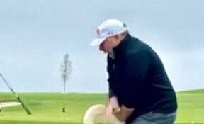 سوژه شدن‌ ویتکاف توسط ترامپ پس از حمله قو!