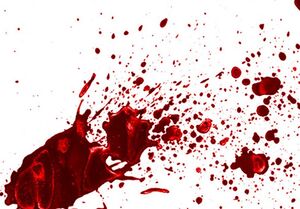 قتل پدر با ضربه مشت زیرسایه اختلافات مالی در تهران