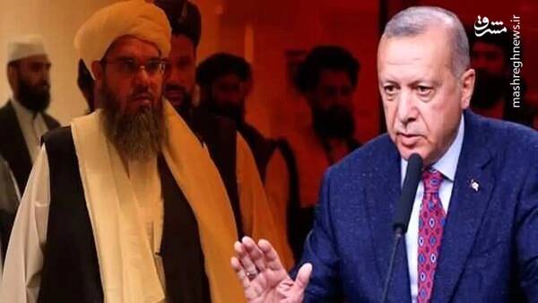 تركيه،افغانستان،نفوذ،آموزش،منافع،آموزشي،گسترش،تركي،طالبان،كم ...