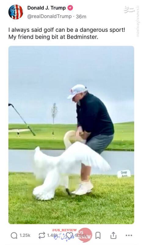 سوژه شدن ویتکاف توسط ترامپ پس از حمله قو!