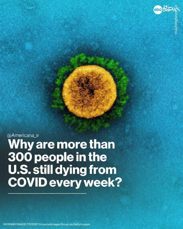 کرونا همچنان در آمریکا می تازد