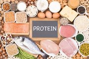 پروتئین گیاهی یا حیوانی؛ برای مدیریت وزن چه بخوریم؟