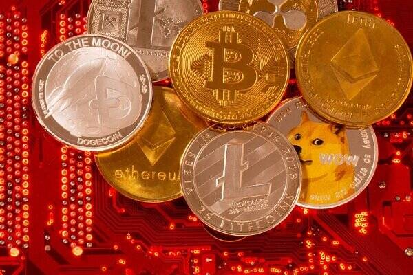 سرمايه،قربانيان،پليس،رئيس،ترغيب،تبليغات،پايتخت