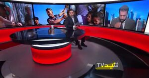 گزارش BBC از افشاگری تکان‌دهنده پزشک آمریکایی در شورای امنیت/ قتل‌عام عمدی کودکان فلسطینی به‌دست اسرائیل