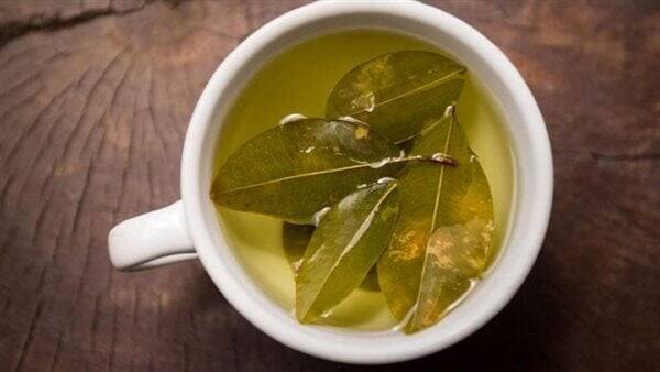 فوائد ورق السدر المغلی