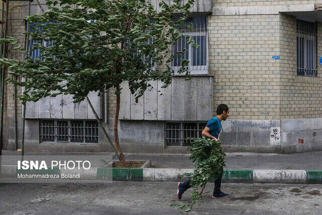 وزش،باد،خردادماه،كشور،گردوخاك،شرق،شمال،مناطق،دماي