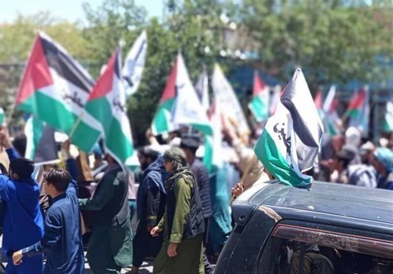فلسطين،رژيم،افغانستان،حمايت،جنايات،غزه،كابل،خواستار،اسرائيل، ...