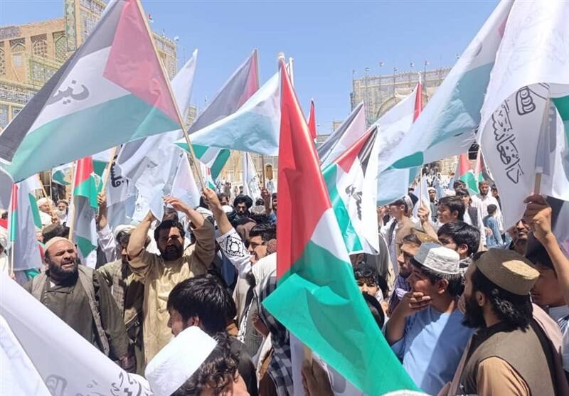 کشور افغانستان , طالبان , کشور فلسطین , اعتراض , نوار غزه ,