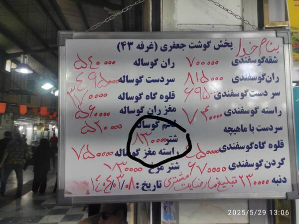  شتر در قیمت گوشت از گوسفند سبقت گرفت