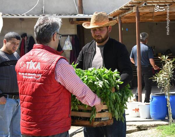 تکاپوی اردوغان برای سفت کردن جای پای خود در باکو