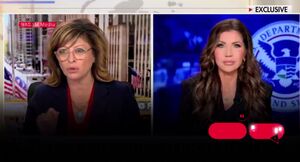 لطفا برای جاسوسی به آمریکا نیایید!