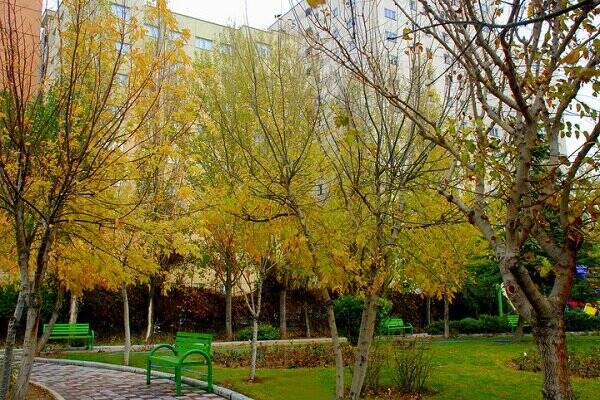 منطقه،تهران،هماهنگي،شهرداري