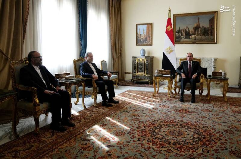 دیدار عراقچی با رئیسجمهور مصر+عکس