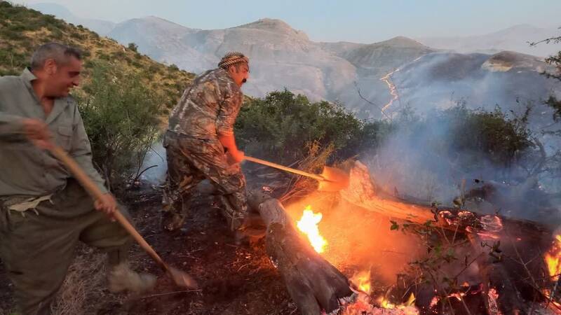 گلستان،پارك،حريق،ملي،درخت،ايراني،رادمان،عناصري،گياهي،مسافران