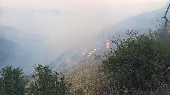 نبرد با آتش در پارک ملی گلستان+ فیلم