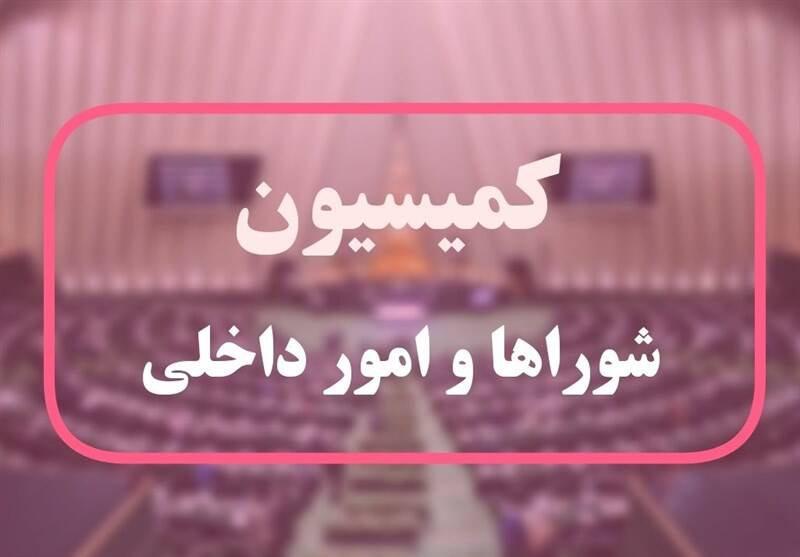 طرح،نهاد،كميسيون،مجلس،شوراي،فعاليت،بررسي،جزئيات،شوراها،عملكرد