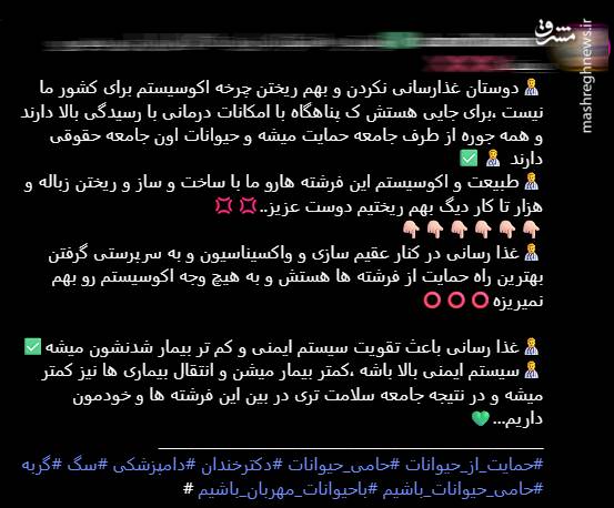 از محبت به ولگردها تا فاجعه اکوسیستم/ روایت یک دامدار از آسیب غذارسانی به سگان ولگرد/ برخورد قاطع دادستانی با سگ‌گردانی در سطح شهرها