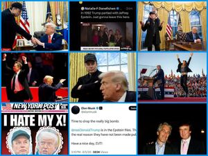 روی دیوار دیوانگان