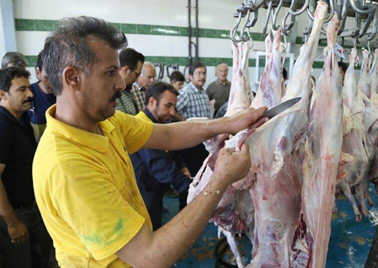 دامپزشكي،عيد،گوشت،سازمان،كشور،آلايش،دام،مصرف،رئيس