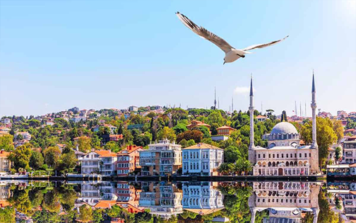 چگونه با کمترین قیمت تور استانبول علی بابا، به سفری لوکس برویم؟