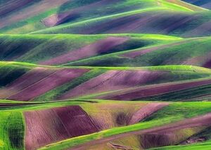 تصویری از زیبایی دشت های مخملی یارآباد