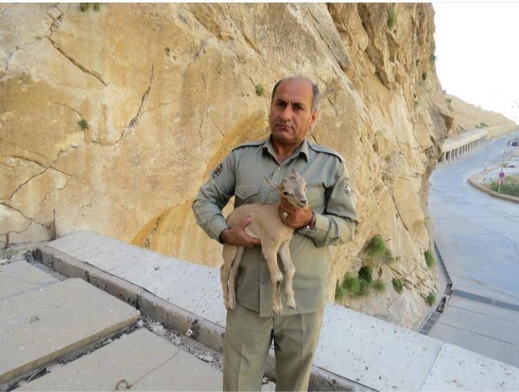 حفاظت،كهگيلويه،خائيز،قاتل،بان