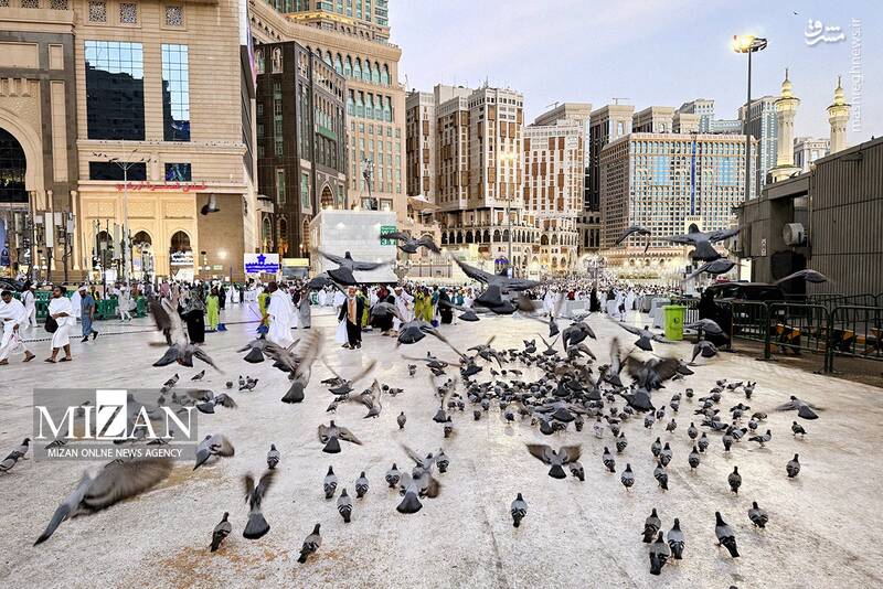 عکس/ حال و هوای زائران در مسجدالحرام