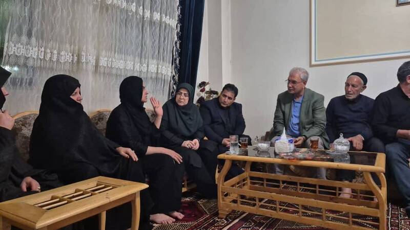 خانواده،حادثه،ديدار