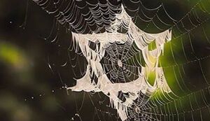 انتقام و ضربه گاهی اطلاعاتی است!