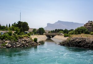 عکس/ بازگشت زندگی به تالاب بختگان