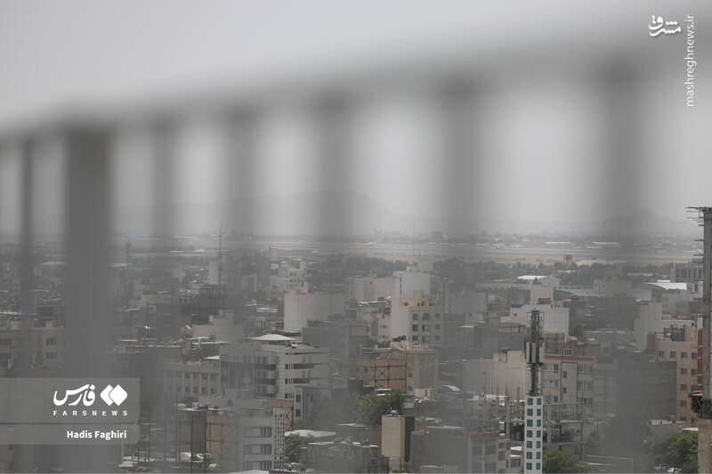 عکس / مشهد غرق در آلودگی 5