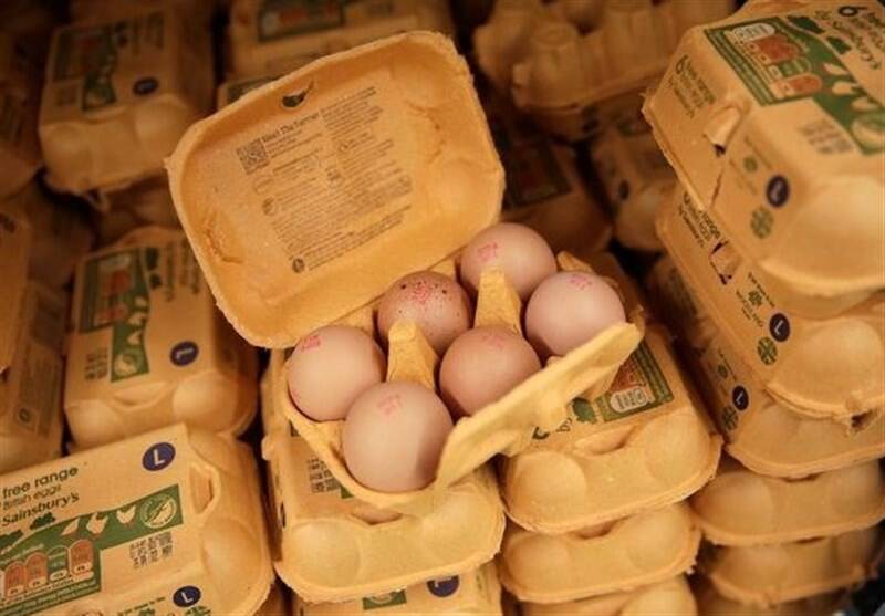 سالمونلا،مركز،غذا،آلوده،كنترل،بيماري،آمريكا،اعلام،گزارش