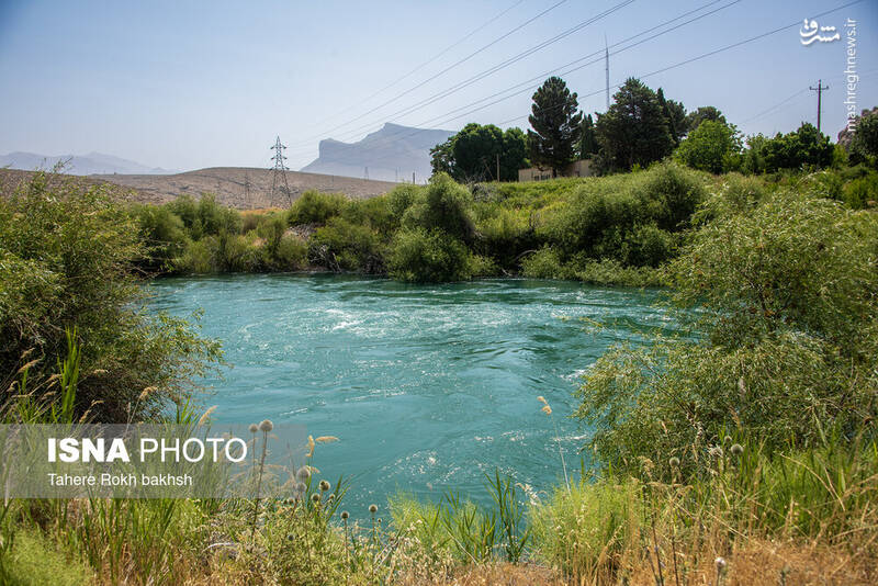 عکس / بازگشت زندگی به تالاب بختگان 10