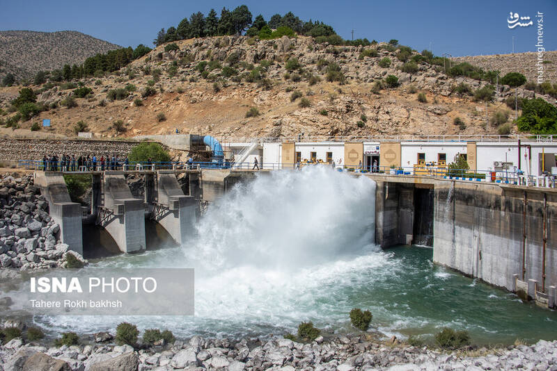 عکس/ بازگشت زندگی به تالاب بختگان
