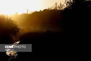ایران در میان دوازده کشور برتر دنیا در زمینه افزایش پوشش جنگلی