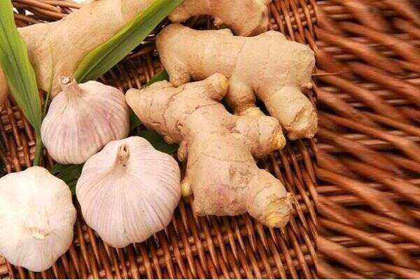 از تقویت مو تا کاهش التهاب؛ گیاهی همهکاره 2