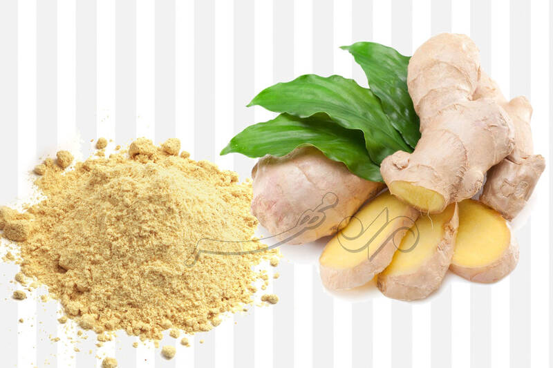 از تقویت مو تا کاهش التهاب؛ گیاهی همهکاره 3