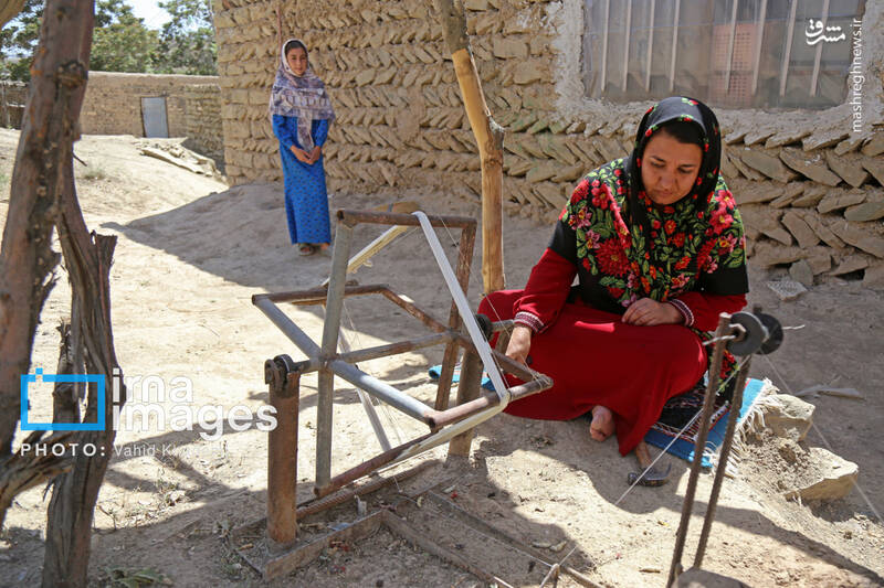 عکس / ابریشم جرگلان؛ از پیله تا فرش ترکمن 9