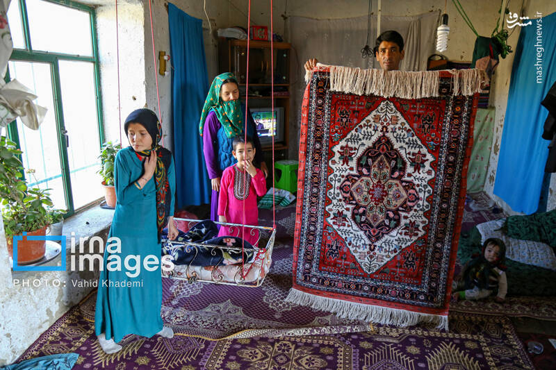 عکس / ابریشم جرگلان؛ از پیله تا فرش ترکمن 7
