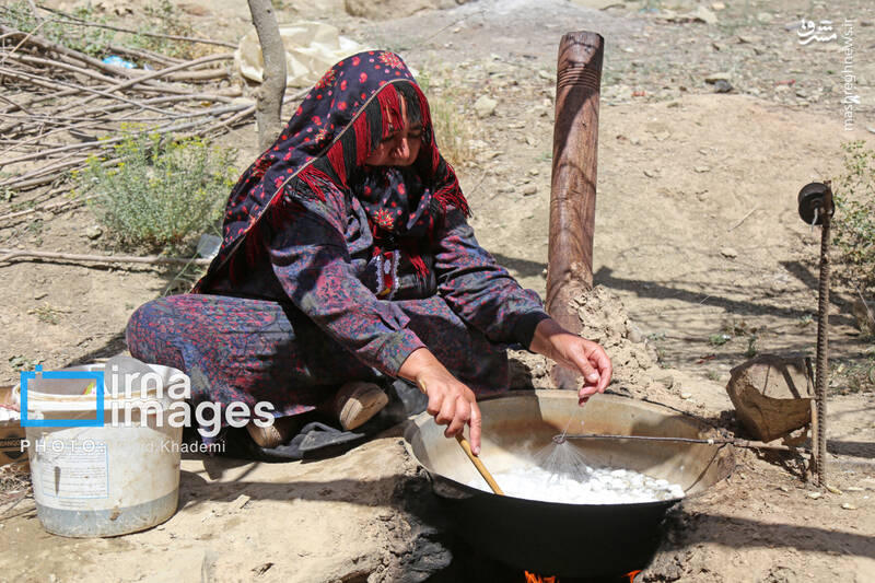 عکس / ابریشم جرگلان؛ از پیله تا فرش ترکمن 5