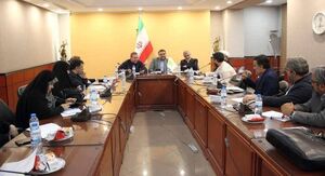 در جلسه شورای مرکزی نسل نو چه گذشت؟